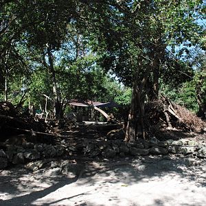 White-tailed Deer enclosure