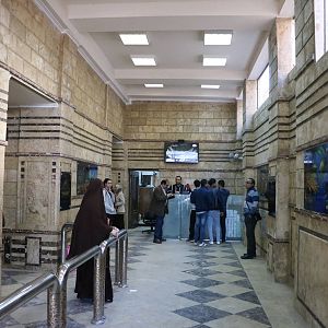 Entrance foyer, February 2016