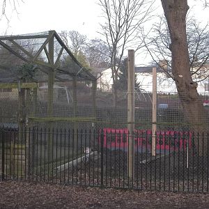 Work on new Coati exhibit, 11th March 2016