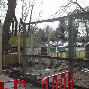 Work on new Coati exhibit, 18th March 2016