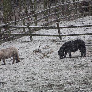 A taste of winter, 6th March 2016