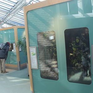 View in the Insect-house