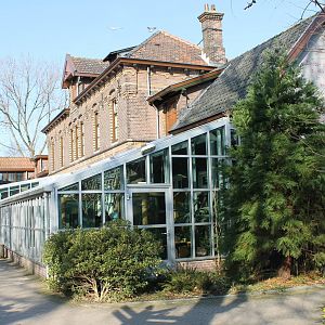 Back-side Insect-house