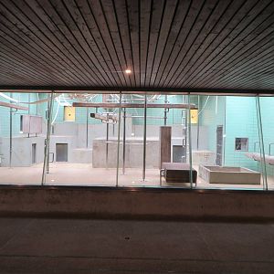 Former gorilla indoors