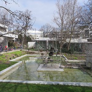 Spider monkey island