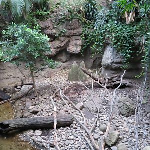 Otter enclosure - Jungle World 031215