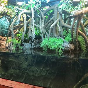 Jungle World exhibit 031215