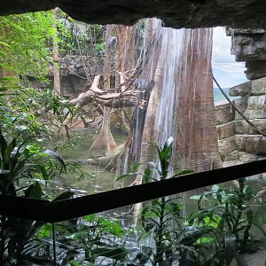 Jungle World exhibit 031215