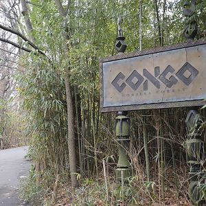 Congo entrance 031215