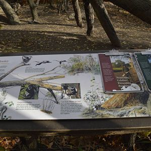 Signage example 031215