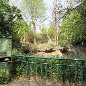 Ring-Tailed Lemur Exhibit