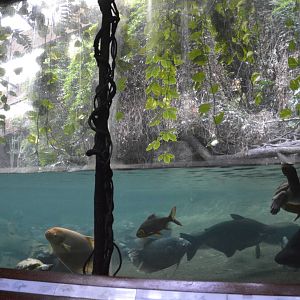 Jungle World exhibit 031215