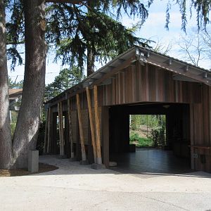 Malayan Tiger Exhibit - Conservation Center