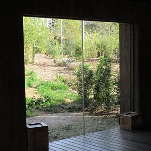 Malayan Tiger Exhibit