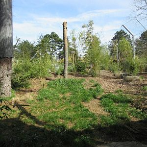 Malayan Tiger Exhibit