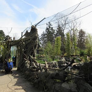 Malayan Tiger Exhibit