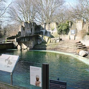 Sealion - African penguin enclosure