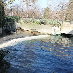 Second Sealion enclosure