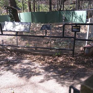 National Zoo - Old Cusimanse exhibit and Coati cage