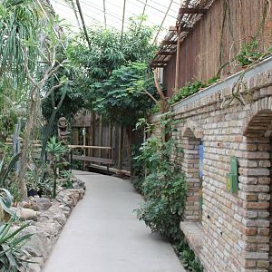 View toward the Marmoset enclosure