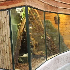 Enclosure Taiwan ratsnake