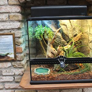 Gecko enclosure