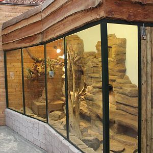 Enclosure Dwarf mongoose