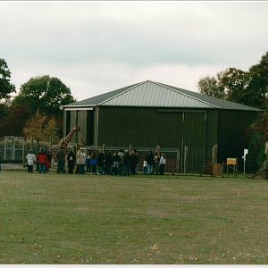 Giraffe House - Suffolk Wildlife Park