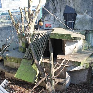Mandrill enclosure