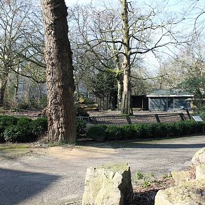 Enclosure Nilgai and Spotted deer