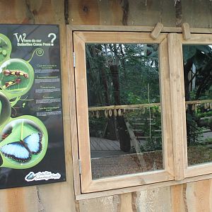 Butterfly hatching room
