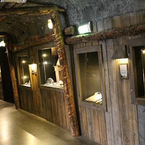 Fossil hall