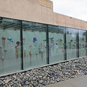 Jellyfish Art Display (to build awareness for plastic pollution)