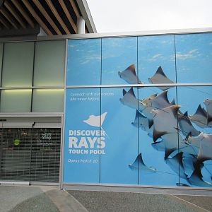 Discover Rays (new exhibit advertisement)