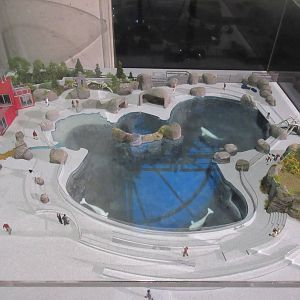 Future Plans - Beluga Whale Exhibit (2.5 times larger than the current one)
