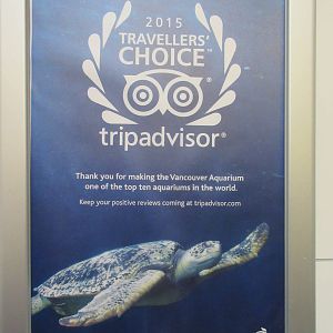 Top 10 Aquarium Poster