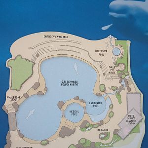 Future Plans - Beluga Whale Exhibit (2.5 times larger than the current one)