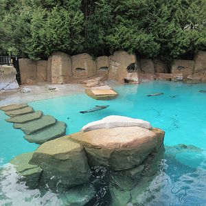 Harbour Seal/Northern Fur Seal Exhibit
