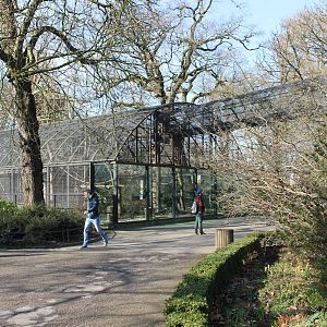 Chimp outdoor enclosure