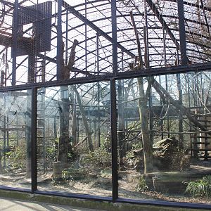 Chimp outdoor enclosure