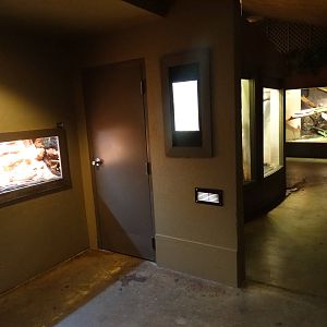 Mar. 2016 - Dragons! (Wall removed)