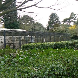View - 26 March 2016, Pickering Park Aviaries
