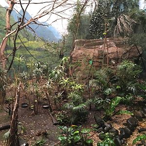 Jungle exhibit 140216