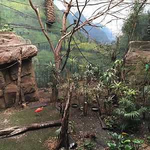 Jungle exhibit 140216