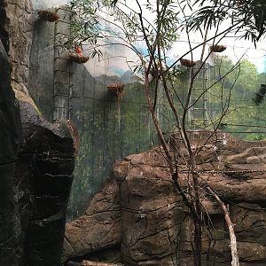 Jungle exhibit 140216