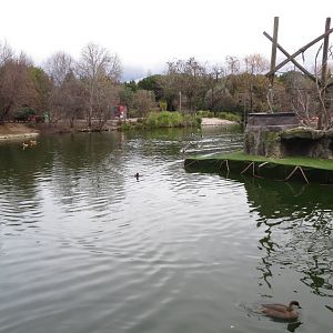 Waterfowl lake and monkey island (capuchins) 140216