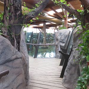 Walkway inside Crocodile House 140216