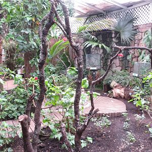 Butterfly House 140216