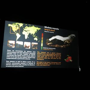 Striped Skunk signage 140216