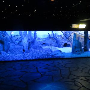 Aardvark enclosure 140216